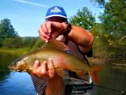 grayling chalk